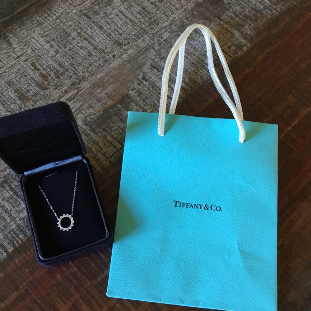 Authentic Tiffany & Co. Open Circle Diamond Platinum Pendant - Picture 4 of 16